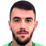 N. Vujanac