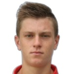 N. Marinsek