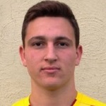 N. Friggieri