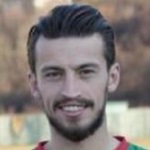 M. Karić