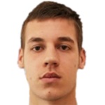 N. Krajinovic