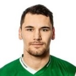 D. Krajisnik