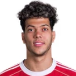 Emam Ashour