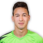 J. Mitrović