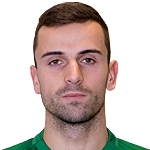 N. Jankovic