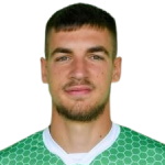 J. Mitrovic
