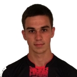N. Subotić