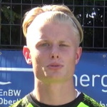T. Stelzl