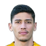 G. Gomes