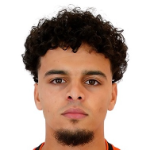 H. Rahaoui