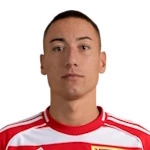M. Ljubicic