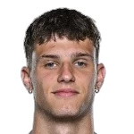 N. Dziegielewski