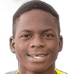 D. Atkinson