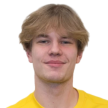 L. Nokelainen