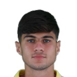 G. Guarino