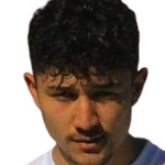 Ö. Gül