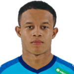 Pedro Henrique