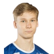 V. Nikulainen