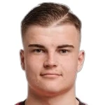 D. Lesnyak