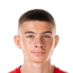N. Ajanovic