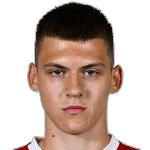 S. Mitrovic