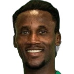 N. Yannick