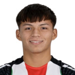 B. Araneda