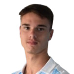 N. Medojevic