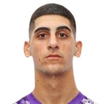 L. Ioannou