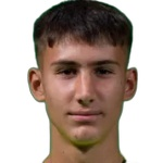 V. Draskic