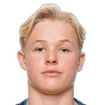 H. Andersson