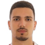 S. Tešić