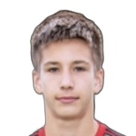 N. Kalmokov