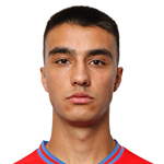 P. Đajić