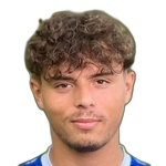 I. Vojic