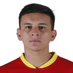 P. Aranguiz
