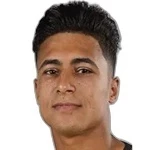 M. Abdelrahim