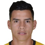 R. Villamizar