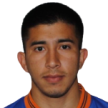 L. Ibarra