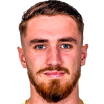 I. Krajcirik