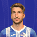 M. Raicevic
