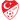 home logo
