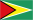 home logo