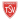 home logo
