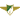 home logo