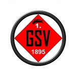 เกิปปิงเกอร์ SV